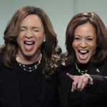 Political Post-Mortem: Pet Rocks, Chia Pets, Furbys, Brat Summer, Coconut-Pilled and Kamala Harris