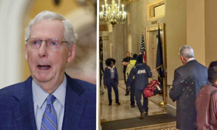 Mitch McConnell just fell at a GOP lunch and suffered a “facial laceration”