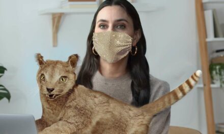 ‘We’re Doing Great, Aren’t We Mr. Friskers,’ Mutters Masked Taylor Lorenz Petting Antique Taxidermied Cat