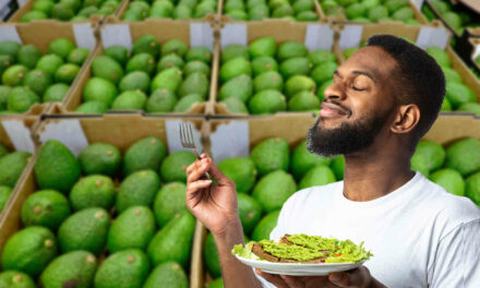 Crooks caught stealing 34,000 avocados in Texas