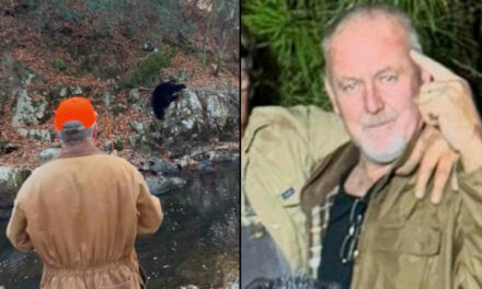 Virginia hunter dies after bear falls out of tree and crushes him