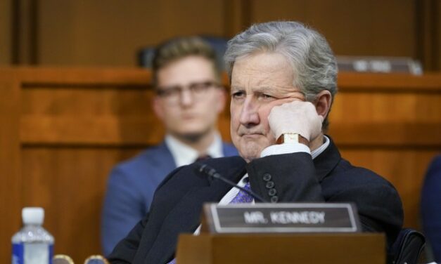 Sen. Kennedy Dissects Dem Witness With Delicious Wit During Climate Hearing