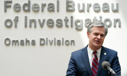 ‘Politically motivated’ FBI treated conservatives like domestic terrorists on Wray’s watch: whistleblower