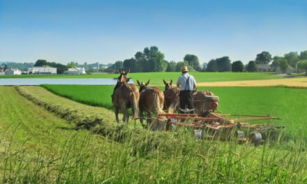 BIG NEWS for SUSTAINABLE FARMING: Joel F. Salatin, American farmer, author and environmentalist, appointed by Trump as âAdvisor to the Secretaryâ for USDA