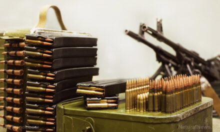 The ammo crisis: A national security wake-up call