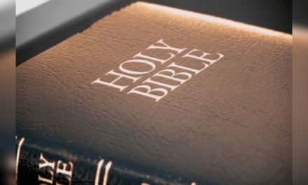 Revival Happening: Bible Sales Are Booming in 2024