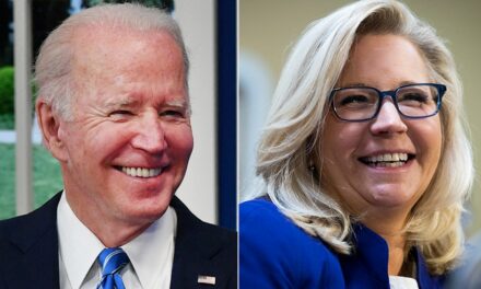 Biden would be making a ‘huge mistake’ with preemptive pardons, legal expert warns