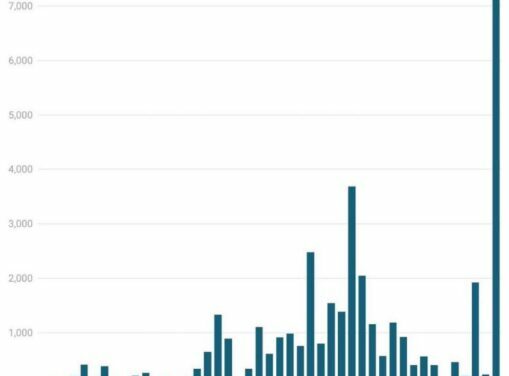 The Daily Chart: Pardon Me?