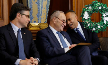 Christmas Comes Early for Democrats: House Passes Spending Bill With Zero Democrat Nay Votes