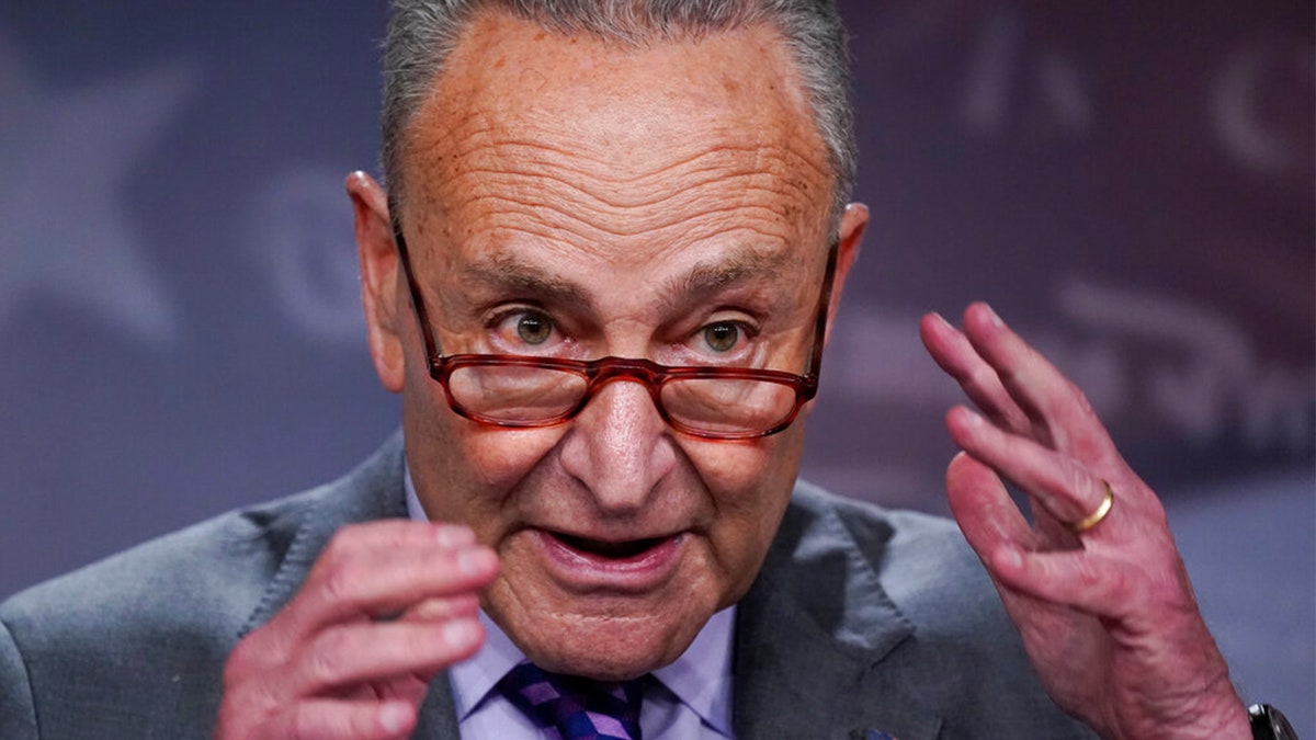 Senate Majority Leader Chuck Schumer