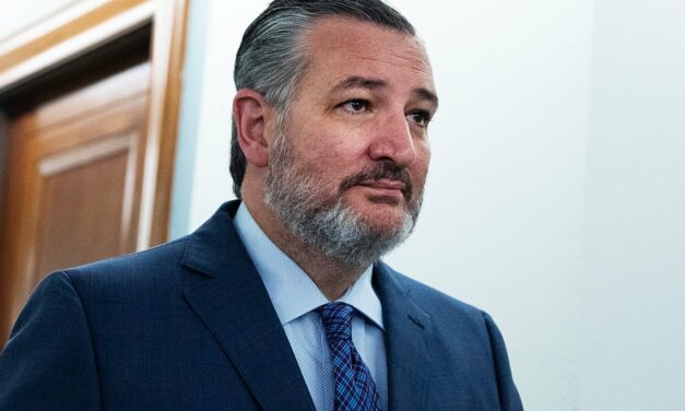 When Deportations Start, Expect ‘Heartbreaking’ Stories From Corporate Media, Sen. Cruz Warns 