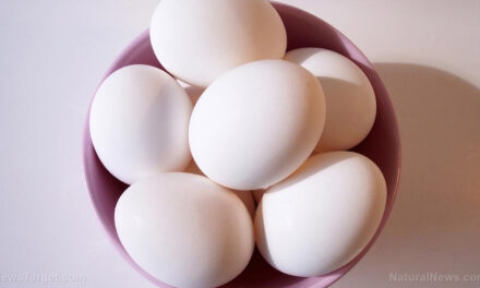 Egg prices have increased by 35% since June â other grocery items also getting more expensive