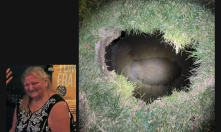 Pennsylvania: Grandmother Who Fell Into Sinkhole While Looking For Her Cat Found Dead By Authorities