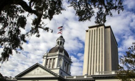 2nd Florida State Lawmaker Leaves Democratic Party to Join Republicans