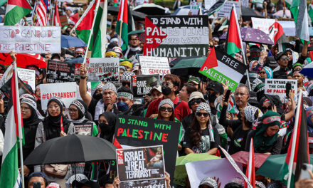 French NGOs file complaints against pro-Israel groups for complicity in Gaza genocide