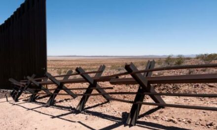 Trump files amicus brief to stop Biden from selling border wall construction materials