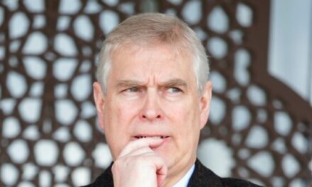 Alleged Chinese Spy linked to Prince Andrew ‘Tip of the Iceberg’