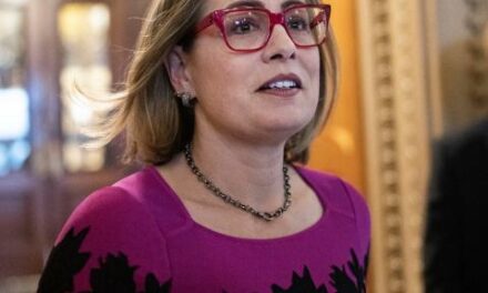 Sinema takes aim at both parties in closing address