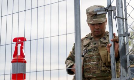 Yes, the President Can Deploy Troops to Enforce Immigration Law