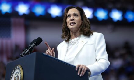 Kamala Harris aide admits Democrats ‘losing hold of culture’ as influencer media shifts right