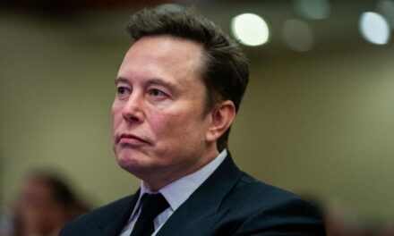 Musk Highlights The Enormous Cost Of Illegal Immigration To U.S. Taxpayers