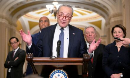 Schumer Unanimously Re-Elected As Senate Democrat Leader, Despite Party Losing Control Of Upper Chamber