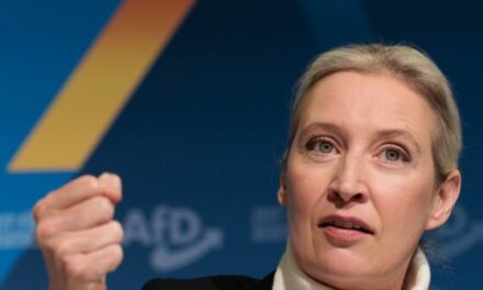 Populist AfD Leader Alice Weidel Surges to Top of German Chancellor Polls Ahead of February Elections