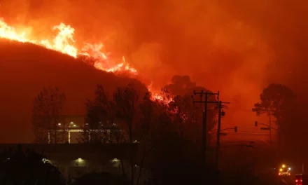 Rapid Malibu Brushfire Forces Massive Evacuations, Triples In Size In 1 Hour