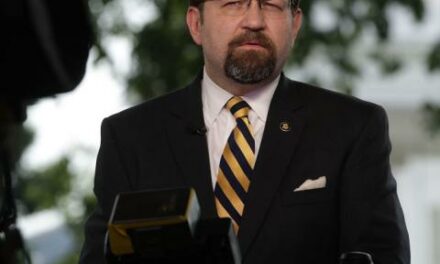 Seb Gorka asks Biden not to do any foreign policy for rest of term: ‘leave it up to the adults’