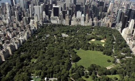 Police think backpack found in Central Park belongs to shooter of UnitedHealthcare CEO: Report