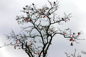 Mark Hollis’s Christianity: Either Real or Real