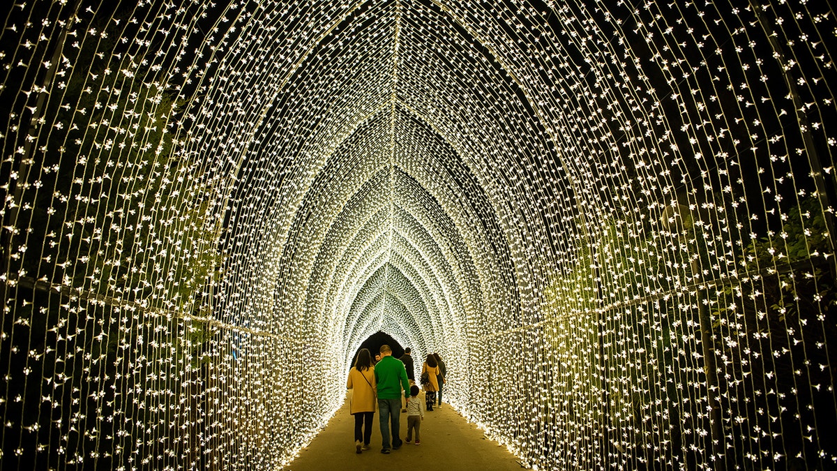 Lightscape-at-Chicago-Botanic-Garden_Photo-Credit-to-Chicago-Botanic-Garden