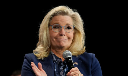 Liz Cheney, Accused of Destroying 117 January 6 Files, Says She Should Not Go to Jail