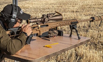 Ready, Aim, Fire! 5 Best Sniper Rifles of All Time