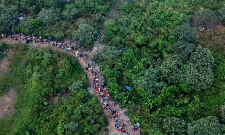 Number of Migrants Crossing Darien Gap Headed to the U.S. Plummets After Trump Election