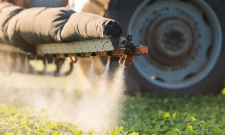 Congress pushing HSB 737 bill to make pesticide manufacturers legally immune from prosecution for their poisoning of America