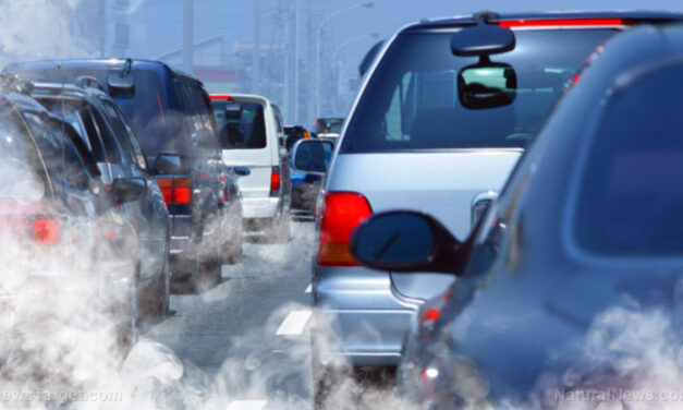 Study: Long-term exposure to common air pollutants linked to higher risk of deadly blood clots