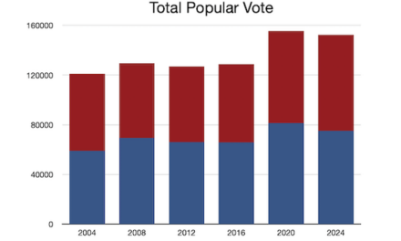 How Much Voter Fraud In 2020?