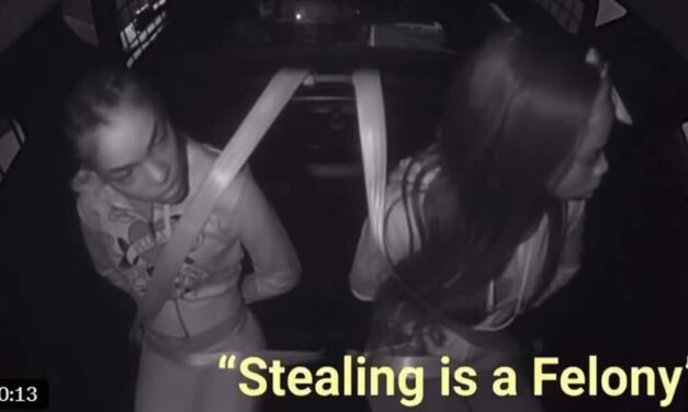 WATCH: Shoplifters Come To Hilarious Realization That Stealing Is Now a Felony In California