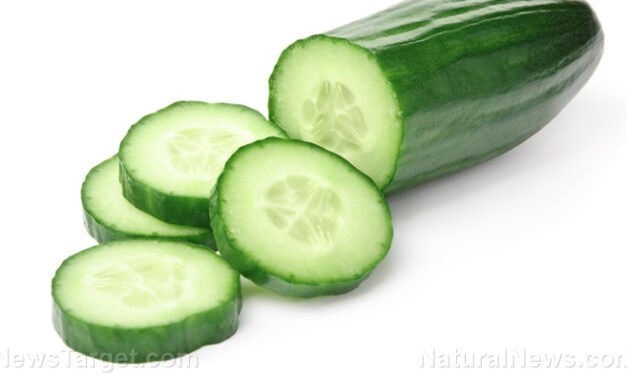 Salmonella outbreak linked to cucumbers spreads to 23 states