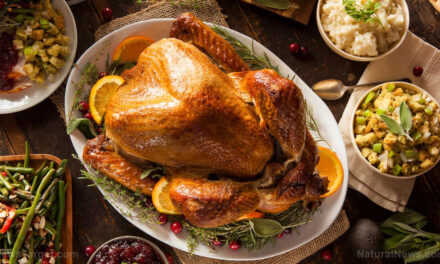 Not just for Thanksgiving: Turkey is a protein-packed nutritional powerhouse of Christmas feasts