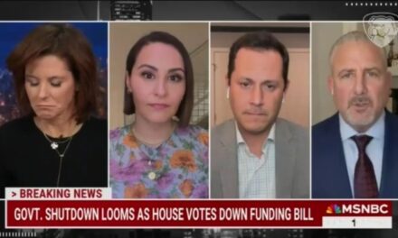 MSNBC’s Ruhle: Republicans Want to Cut Funds to ‘Children With Cancer’