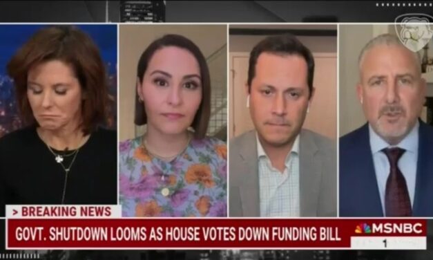 MSNBC’s Ruhle: Republicans Want to Cut Funds to ‘Children With Cancer’