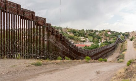 Border Hawks Back Trump Birthright Citizenship Fight