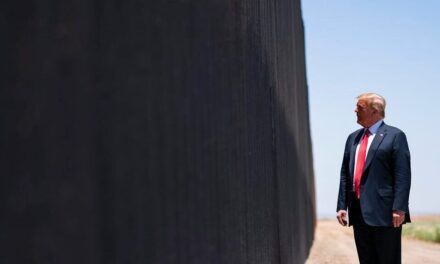 Trump calls for end to border wall auctions: ‘Almost criminal act’