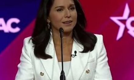 Ex-director of counterterrorism at CIA endorses Tulsi Gabbard for National Intelligence director