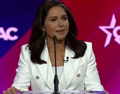 Ex-director of counterterrorism at CIA endorses Tulsi Gabbard for National Intelligence director