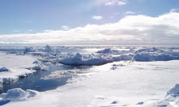 Flat Earther admits error after Antarctica trip proves Earth’s SPHERICAL SHAPE