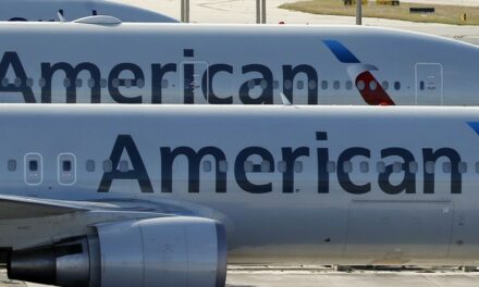 Unfriendly Holiday Skies: American Airlines Grounds Flights Temporarily Over a ‘Vendor’ Technical Issue