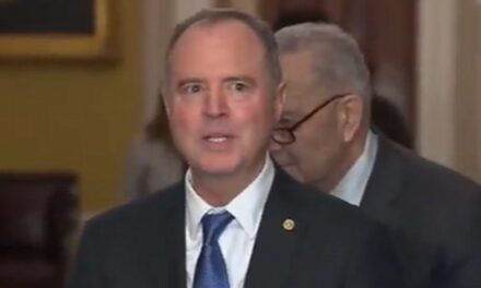 THE NERVE: Adam Schiff Complains ‘I Don’t Think the Incoming President Should be Threatening His Opponents With Jail Time’ (VIDEO)